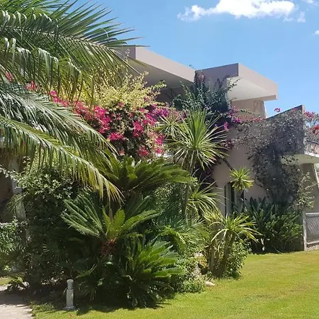 Ξενοδοχείο με διαμερίσματα Palm Village