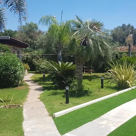 Palm Village 3*
