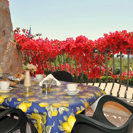 Palm Village וילסימיוס