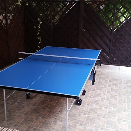 Palm Village וילסימיוס