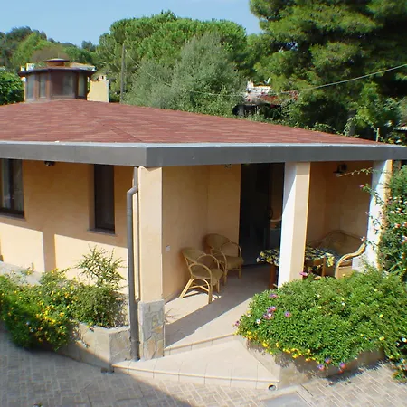 Palm Village