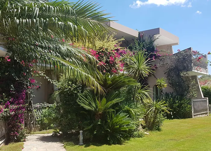 Palm Village 3* וילסימיוס