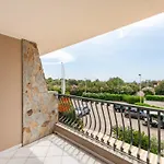 Palm Village וילסימיוס