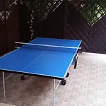 Palm Village וילסימיוס
