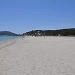 Palm Village 3*