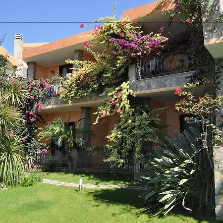 Palm Village