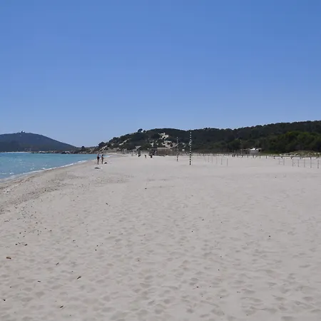 Palm Village 3*