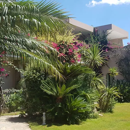 Palm Village 3* וילסימיוס