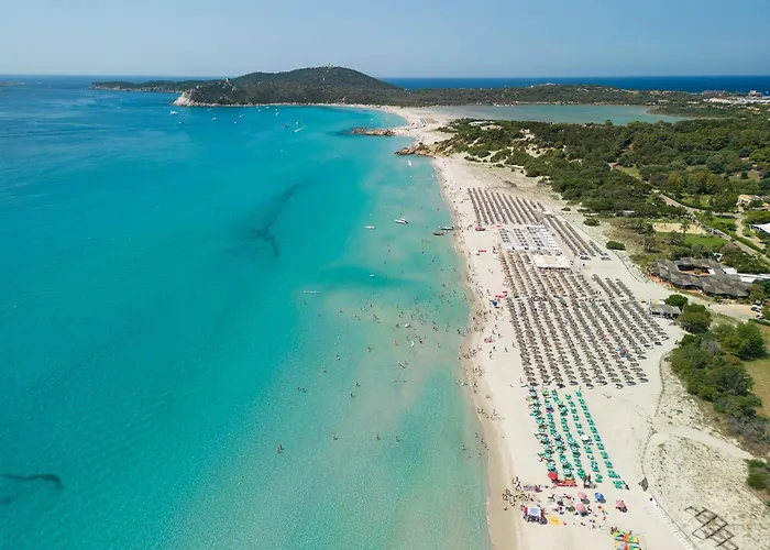 شقة فندقية Palm Village