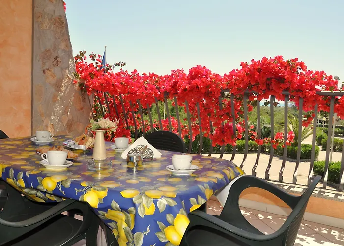 Palm Village فيلاّسيمِيوس