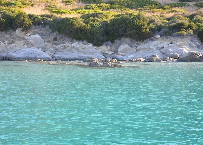 Palm Village فيلاّسيمِيوس